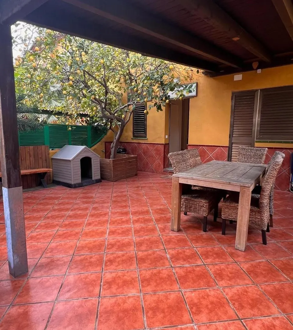 Limonero Villa Cambrils
